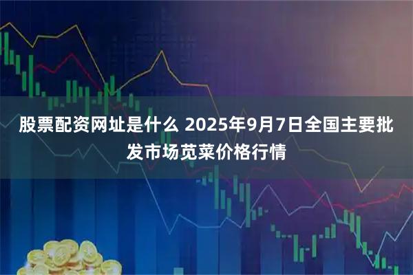股票配资网址是什么 2025年9月7日全国主要批发市场苋菜价格行情
