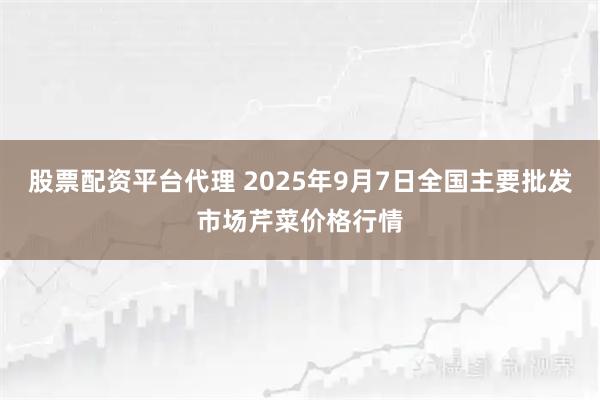 股票配资平台代理 2025年9月7日全国主要批发市场芹菜价格行情